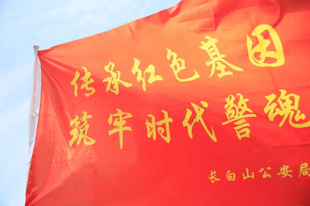 拯救精灵的土地9